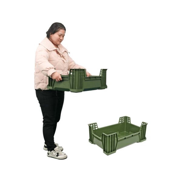Best container for raising mealworms