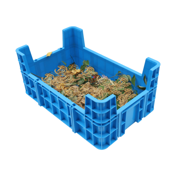 Insect breeding box for sale