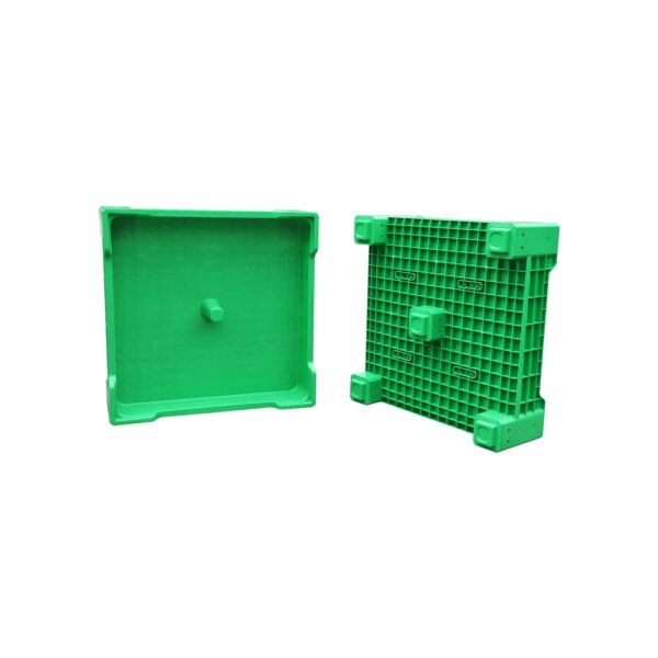 Mealworm Breeding Container Insect farming box