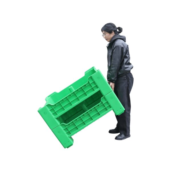 Mealworm Breeding Container Insect farming box