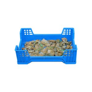Plastic mealworm breeding box