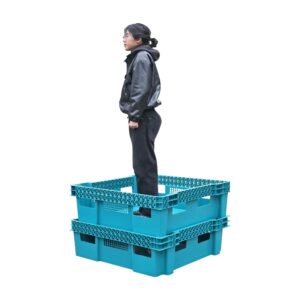 Large Insect Rearing Trays