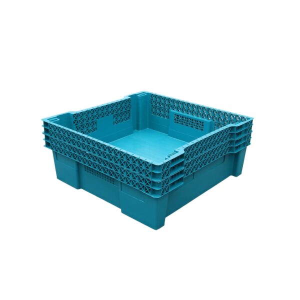 Large Insect Rearing Trays