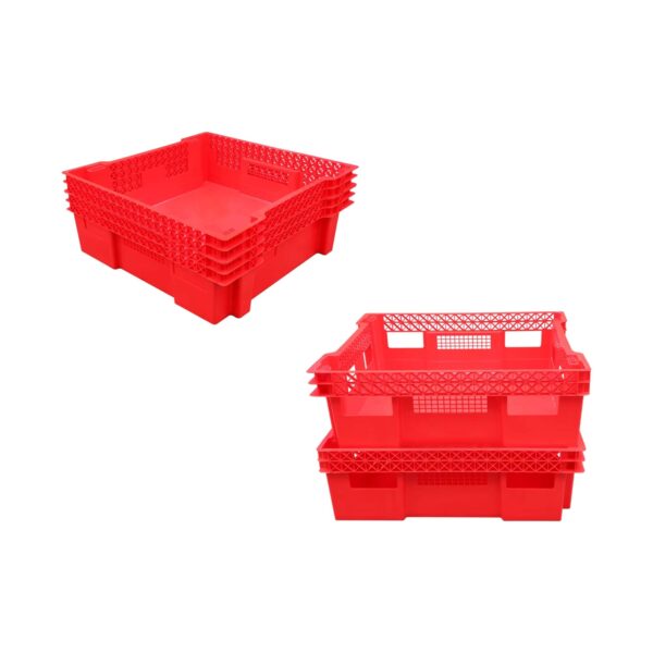 Large Insect Rearing Trays
