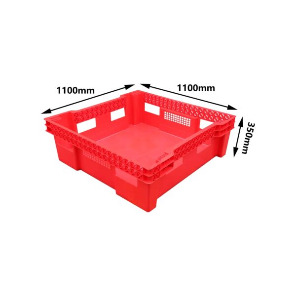 Large Insect Rearing Trays