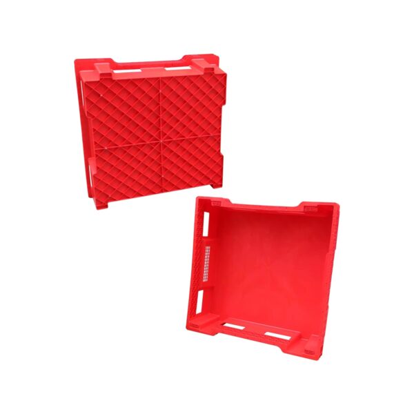 Large Insect Rearing Trays